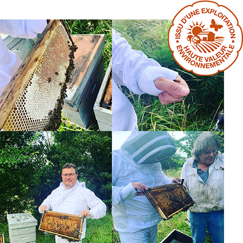Installation de ruches au vignobles